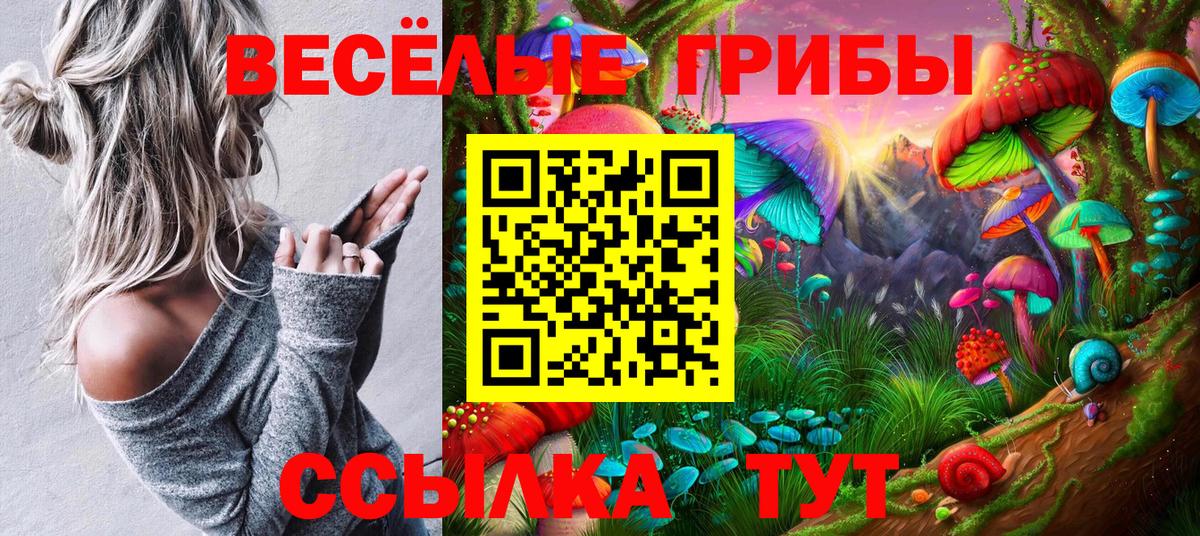 Котельники  Псилоцибиновые грибы GOLDEN TEACHER  Галлюциногенные грибы MAGIC MUSHROOMS  Вход с VPN 